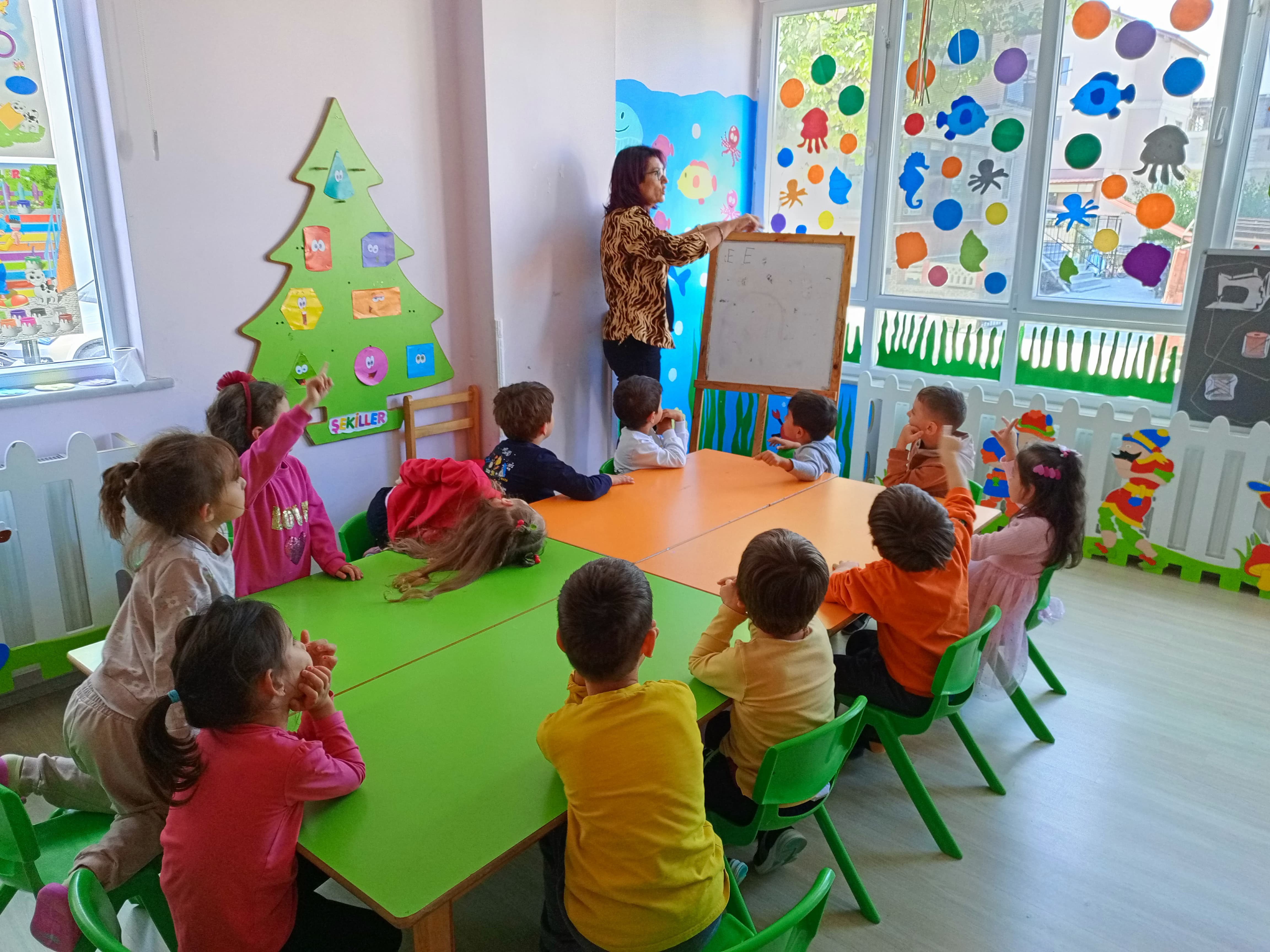 Okul Öncesi Eğitim