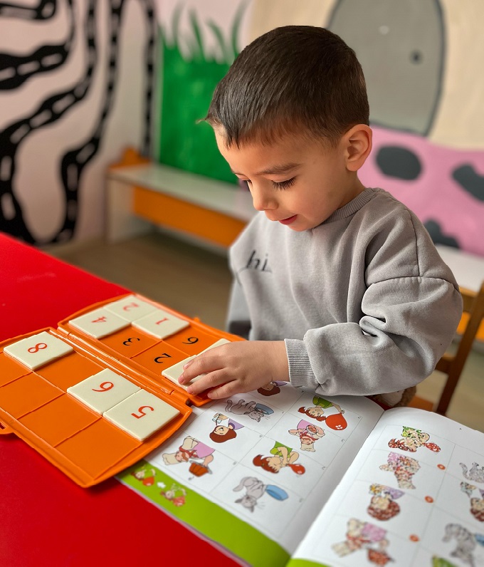 Zeka Eğitim Programı