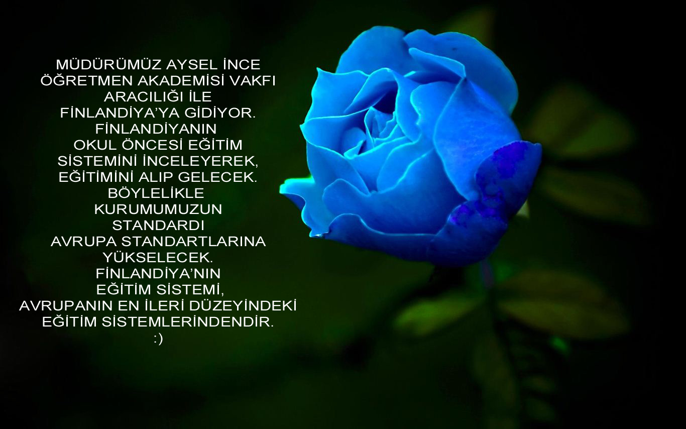 FİNLANDİYANIN EĞİTİM SİSTEMİNİ İNCELİYORUZ