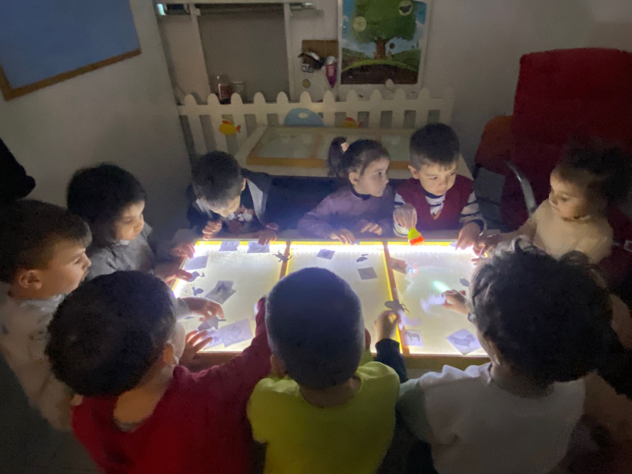 Fen Doğa Çalışması